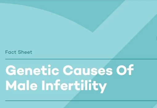fact sheet of genetic causes of male infertility