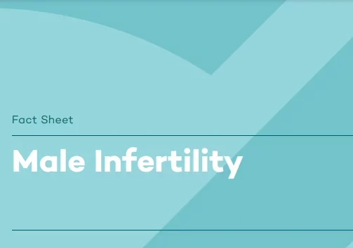 male infertility fact sheet