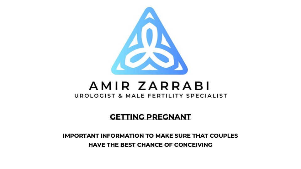Getting pregnant: A guide for couples by Prof Amir Zarrabi